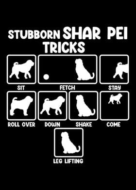 Stubborn Shar Pei Tricks