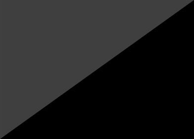 Anarcho Nihilism flag