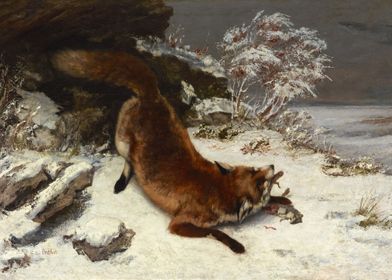 Fox In The Snow 