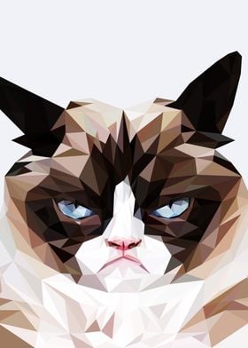 grumpt cat