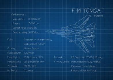 F14 Tomcat