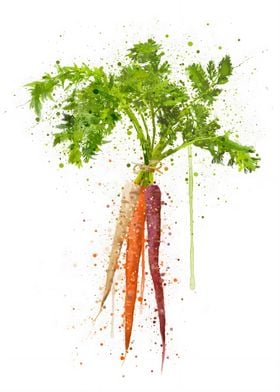 Rainbow Carrot Vegetable