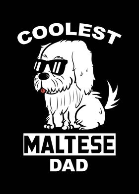 Maltese Dad 