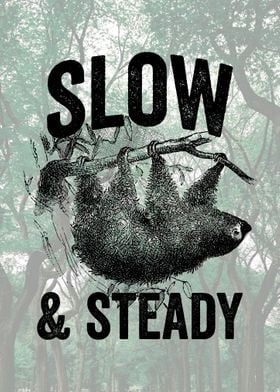 Sloth Slow and Steady