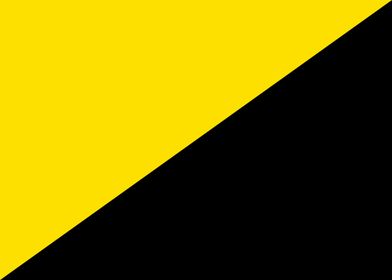 Anarcho capitalism flag