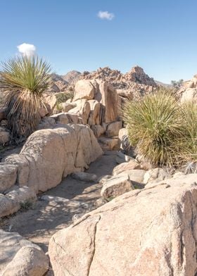 Joshua Tree National Park