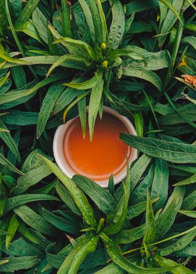 Tea Leaves and tea cup