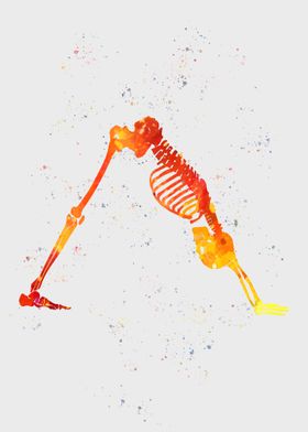 Funny skeletons Yoga