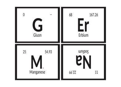 Elements of German 