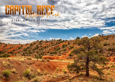 Capitol Reef National Park