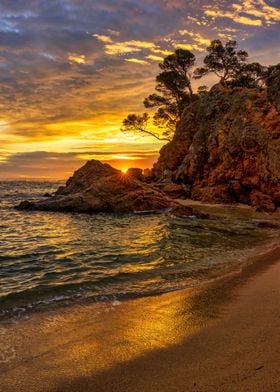 Landscape beach coastal