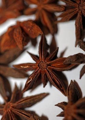 Star anise fruit close up