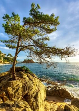 Landscape beach coastal