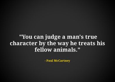Paul McCartney quotes 