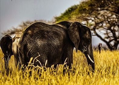 Elephant