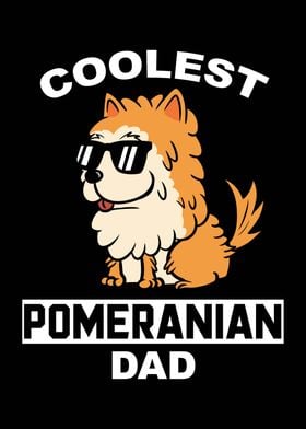 Pomeranian Dad 