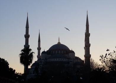 BLUE MOSQUE IN ISTANBUL