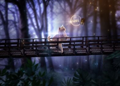 Cat on a Bridge L0ve 