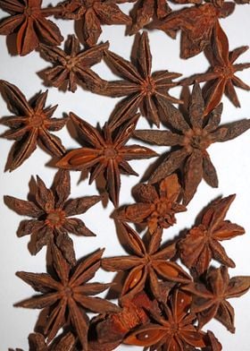 Star anise fruit close up