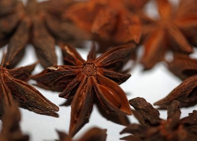 Star anise fruit close up