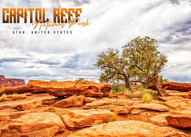 Capitol Reef National Park