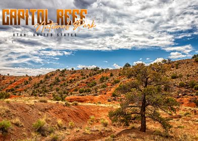 Capitol Reef National Park