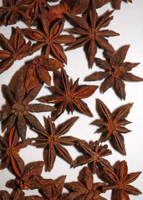 Star anise fruit close up