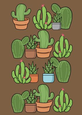 Succulent Plants Cactus