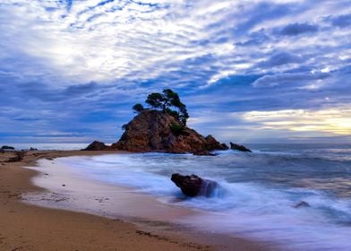 Landscape beach coastal