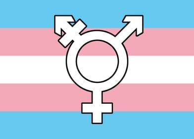 Transgender Flag + Symbol