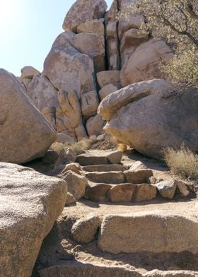 Joshua Tree California