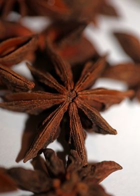 Star anise fruit close up