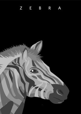 zebra