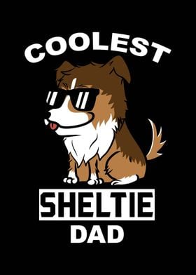 Shetland Sheepdog Dad 