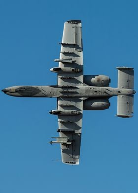 A10 Belly