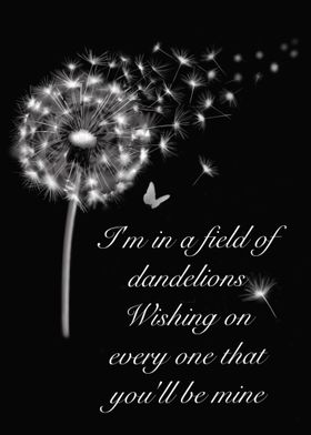 Dandelion wishes