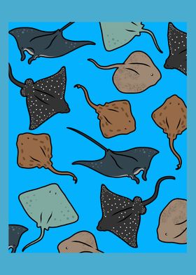 Manta Stingray Skate Fish