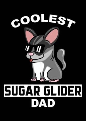 Sugar Glider Dad 