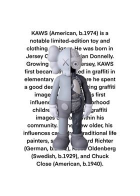 Kaws story