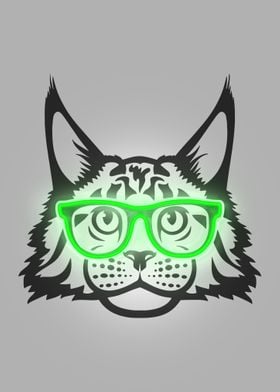 Cat maine coon  in glasses