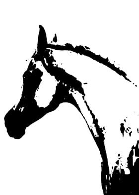 horse in black and white