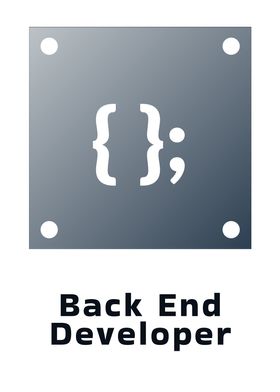 Back End Developer