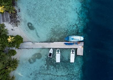 Jetty With Some Sharks