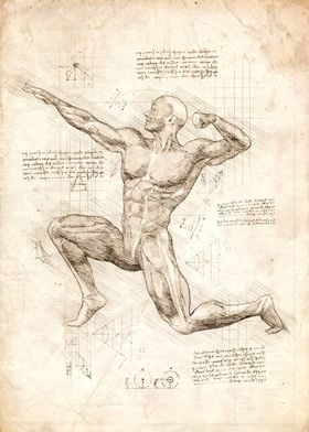Man Posing Anatomy