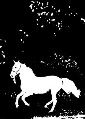 horse in black and white