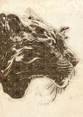 Jaguar pencil sketch