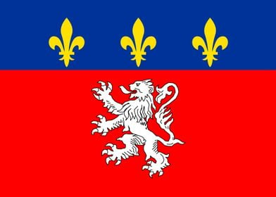 Lyon France flag