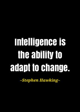 Stephen Hawking quote