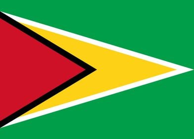 Flag of Guyana