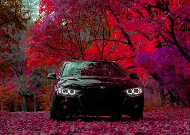 BMW F30